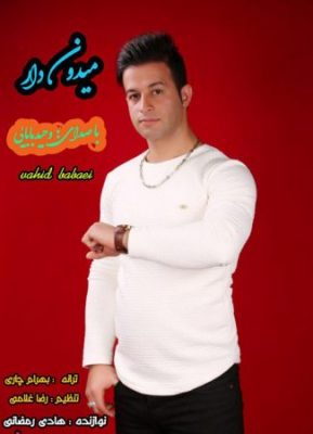 وحید بابایی میدون دار